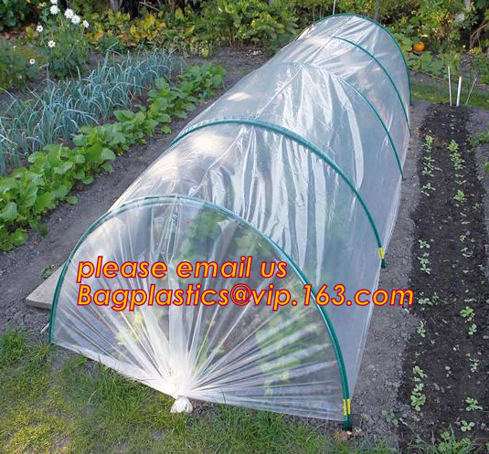 Transparent Low Tunnel Film Perforated For Culture Of Seedling Maturing Vegetables perforated red plastic mulch