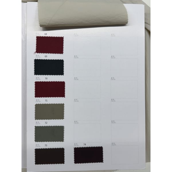 100% Nylon 68g/m ² 150CM Autumn And Winter New Product Wind And Rain Resistant Bone Like Fabric