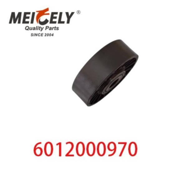 6012000970 9146139 Pièces détachées de moteur automobile