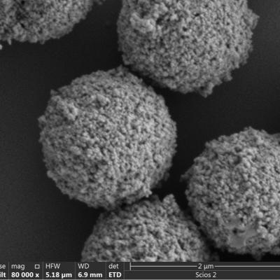 Polymer Amino Magnetic Beads For Immunodiagnosis 2μm 10 mg / mL 50 mL