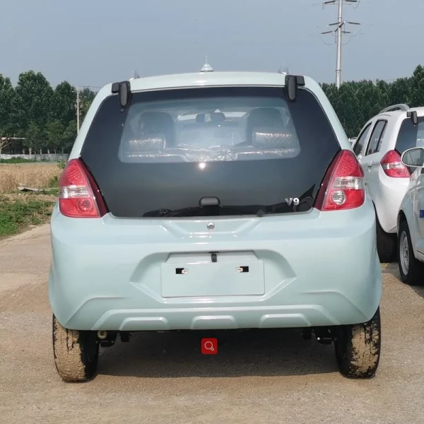 Raysince hot sales model new energy electric car 5 door 4 Seat electric saloon cars from china