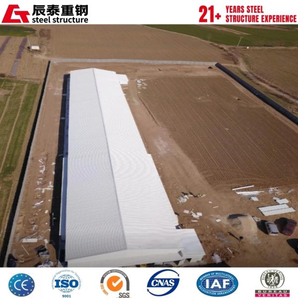 H-Section Steel Structure Livestock Greenhouse with Glass Walls