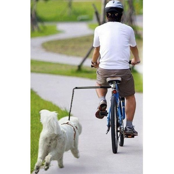 Anodizing and Sandblasted Coating Safety Dog Bike Leash Suitable for All Sizes of Dogs