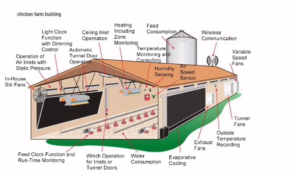 Modern Design Steel Structure Broiler House Chicken Warehouse For Farmhouse