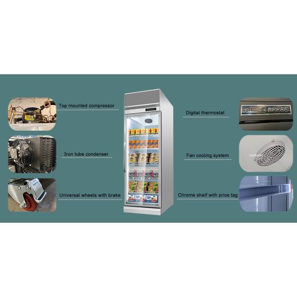 Commercial Plug In Upright Cooler And Freezer Glass Door Display Showcase