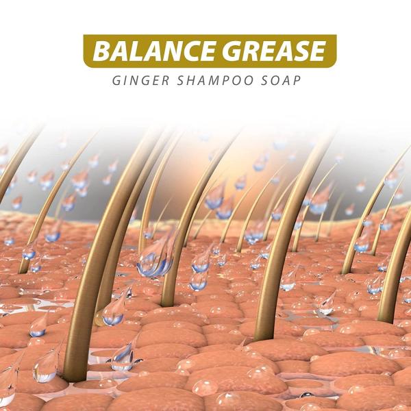 Adults Anti Hair Loss Growth Shampoo Herbal Organic Hair Care Private Label Ginger Shampoo