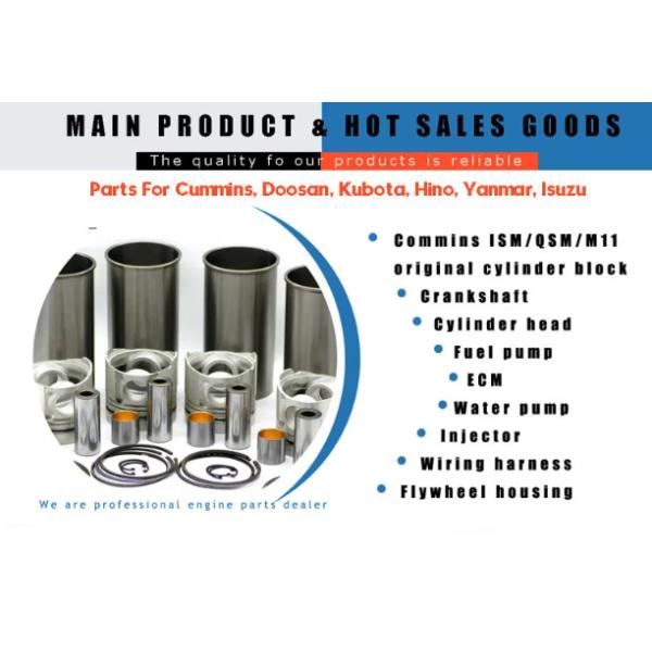 Empêche la rouille Démarreur de moteur diesel 814323 Chongkang NT855-C280-C360 Pièces de rechange pour camions