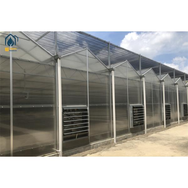 High Insulating Polycarbonate Green Houses Crop Farming Greenhouses UV Resistant
