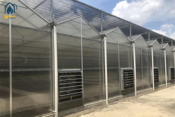 Serre à double paroi en polycarbonate résistant aux UV Serre pour fermes modernes