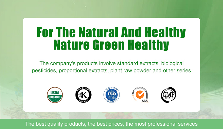 garlic Extract Powder