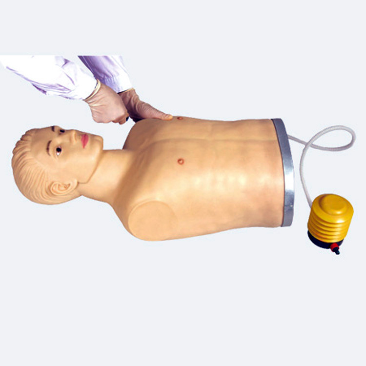Advanced PVC Thoracic Puncture Manikin for Clinical Skills Demonstration and Training