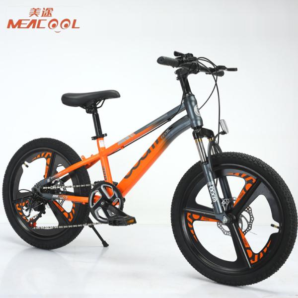 Fashionable Lightweight Mountain Bike 24