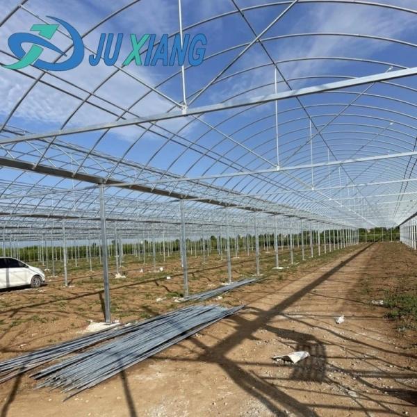 Double Arch Beam Greenhouse for Mushroom Farming Plastic Sheet Cover Single or Multi Span