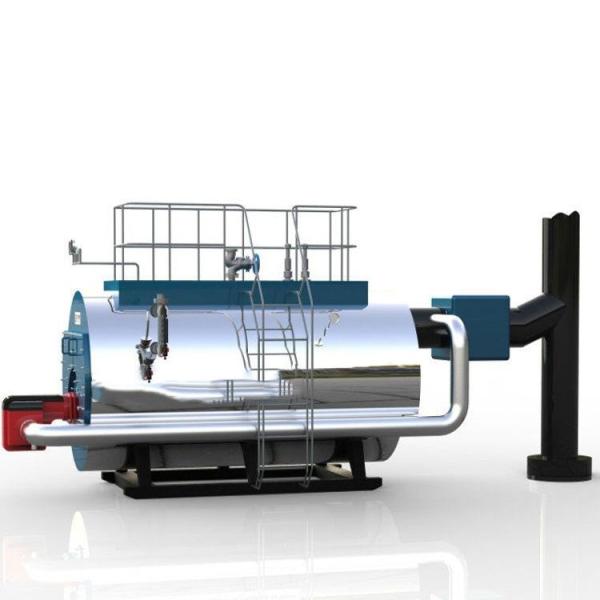 Caldeira a vapor da China Industrial