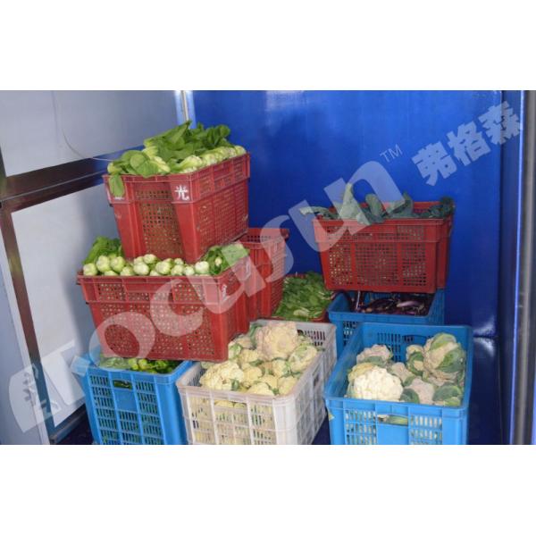 Фокусун вакуумное охлаждающее оборудование для фруктов и овощей 380V/3Ph/50Hz напряжение