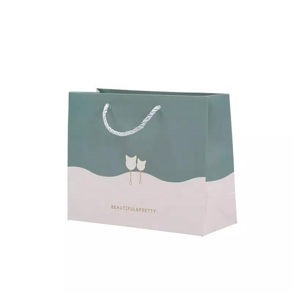 Printed Luxury Paper Cookie Bags 350gsm 450gsm Shoe Paper Bag