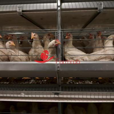 Burr-free Treatment Layer Chicken Cage System Alloy Reinforcement