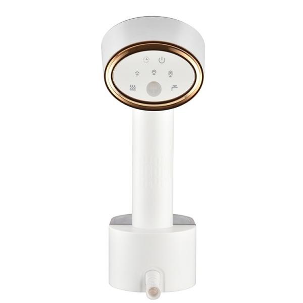 Travel-Friendly 2000W Electric Garment Steamer 250ml Water Tank Hair Brush Included