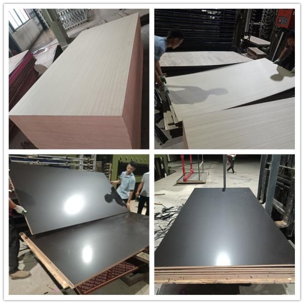 18mm Brown Anti Silp Film Faced Plywood Hardwood With Logo