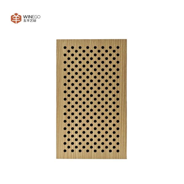 Architectural Perforated Acoustic Panel Ceiling & Wall Installation for Auditoriums