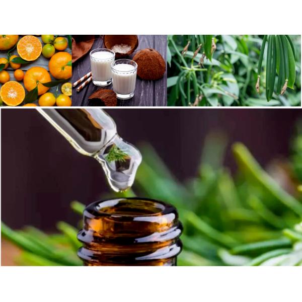 Shower Gel Essence Coconut Fragrance Essence For Shampoo Making