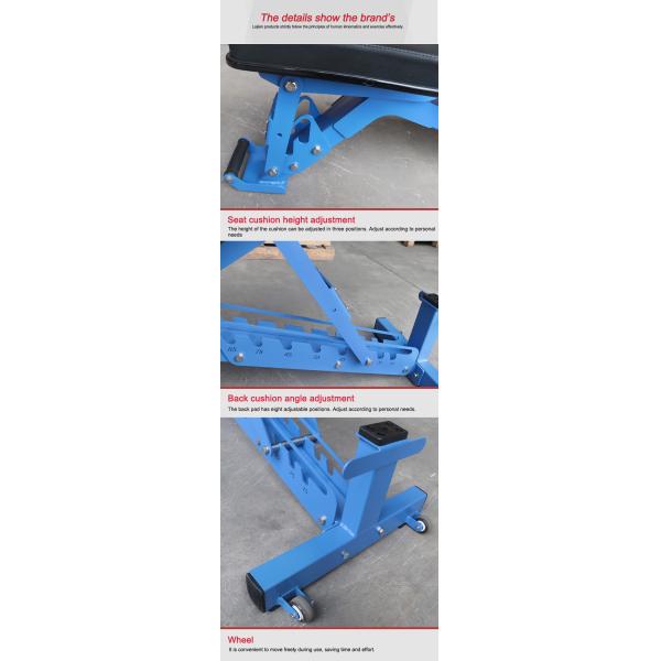 Blue Tube Full Gym Equipment Adjustable Weight Dumbbell Workout Bench