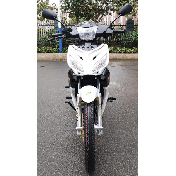 Cub Dirt Bike Double Clutch Engine Gasoline Fuel Kick Start Starting system