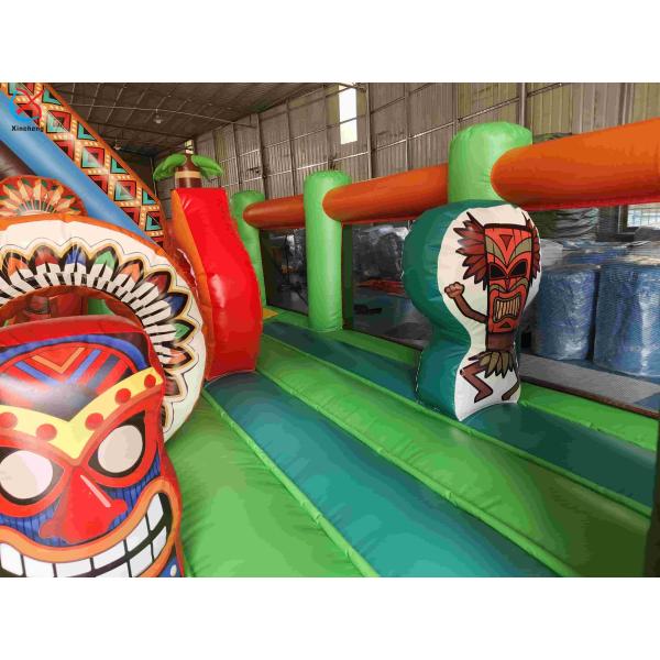 Inflatble Exotic Bouncy House With Internal Slide Combo Jumping Castle