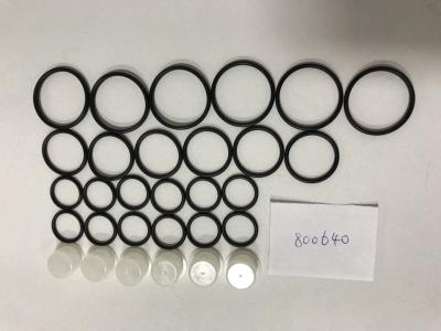 Auto Parts Fuel Injection Pump Repair Kit 800640 Common Rail