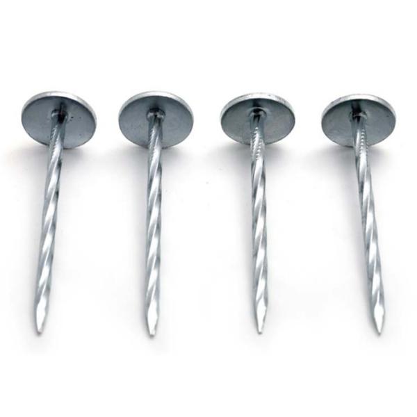 » Гальванизированные ногти толя зонтика BWG8 2-1/2