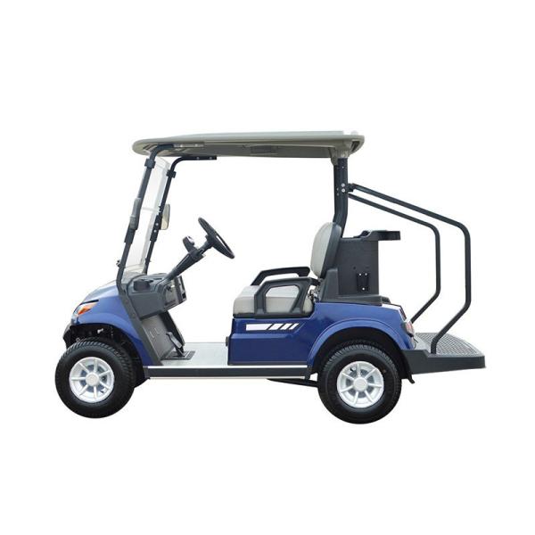 2 4 6 Seater Golf Car Battery Power Electric Golf Cart Lead Acid Or Lithium Battery