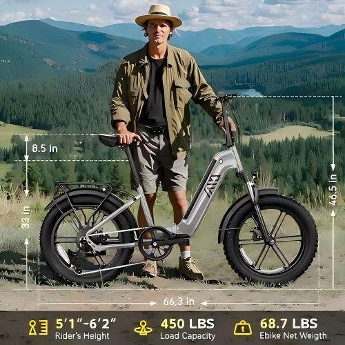 Factory Price EU Stock Buddy Pro F008 20 Folding Fat Tire E Bike 250W Motor Power Electric Bike High Carbon Steel Frame E Bike