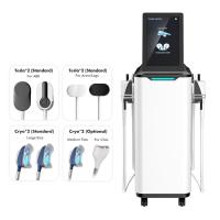 2 dans 1 Cryotherapy Cryolipolysis amincissant la machine 360 degrés