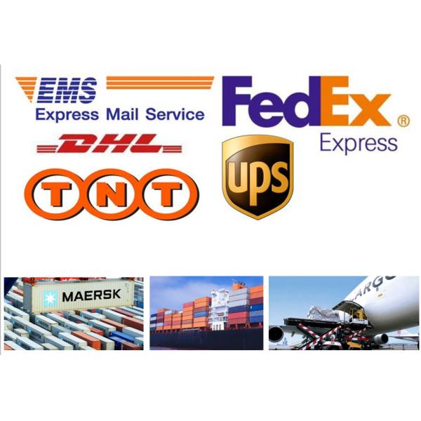 267g IPX4 Waterproof Camping Night Light UV Bug Zapper Rechargeable Mosquito Lamp