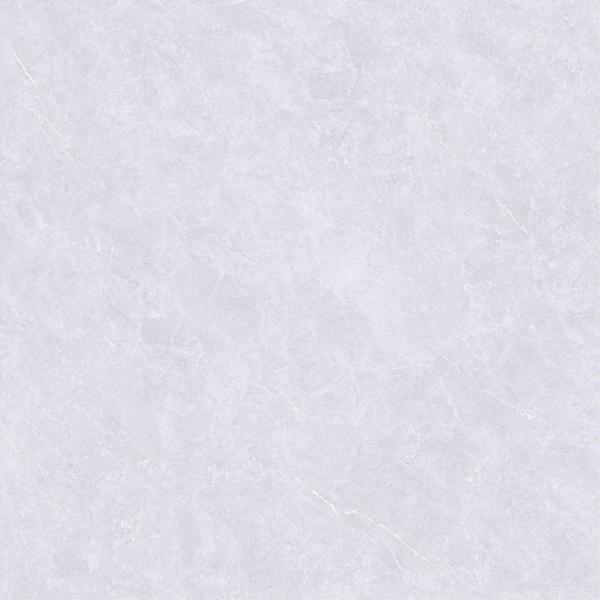 800x800mm Carreaux de porcelaine vernis poli résistant aux acides antibactérien
