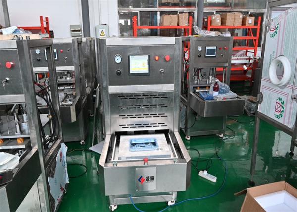 Máquina de vedação de embalagens para bolhas Pharma Tyvek vedação com bandeja de bolhas PETG/ PET/ PVC
