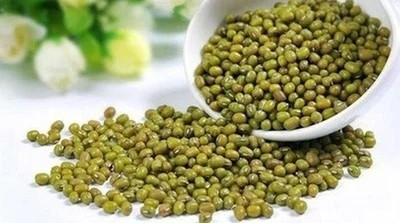 Dried Natural  Green Mung Bean  Agricultural Products