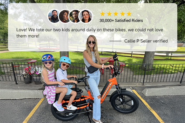German Warehouse HovCart EU/US/AU Stock Electric City Cargo Bike for Two Children with Protection Seat Torque Sensor Fat Tire