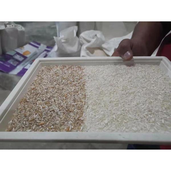 11T/H-19T/H Pecan Sorting Machine 12 Спуска 768 каналов для обработки белого риса