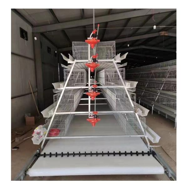 Hot Dip Galvanize Steel Automatic a Type Layer Poultry Farm Battery Chicken Cage for Chicken