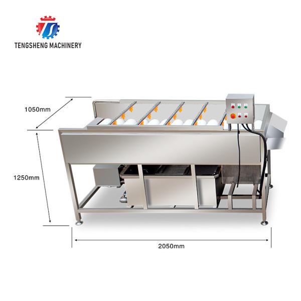 2.5KW Vegetable Parallel Roller Cleaning Machine High Pressure Spray Fruit Washing Machine