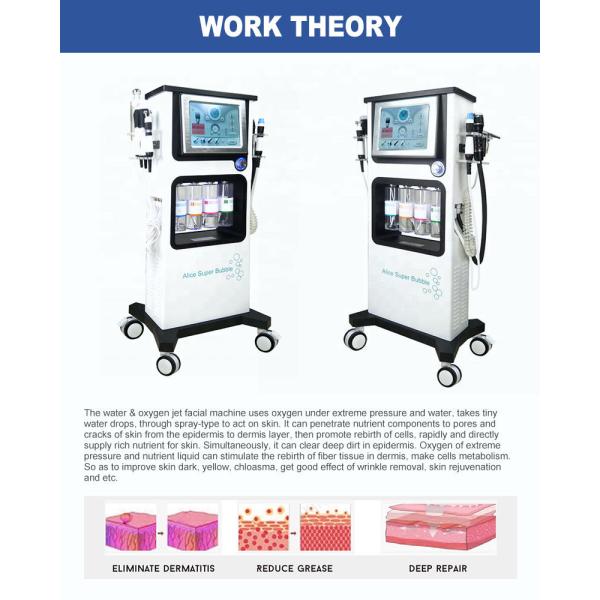 Двухполярное 30L гидро Microdermabrasion Dermabrasion слезая лицевую машину