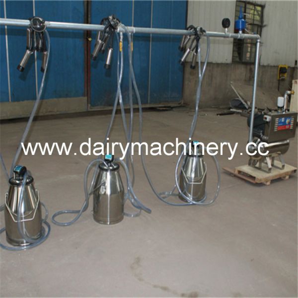 25L Stainless Bucket Milking Machine with 50kpa Vacuum and 5-6 Cows/Min Efficiency for Dairy Farms