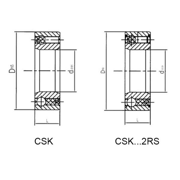 Подшипники муфты пути индицирования одного Backstopping переливаясь через край CSK20