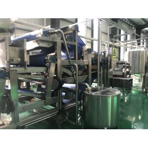 машина обработки сока ананаса виноградины 415V SS316