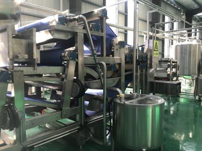 abacaxi Juice Processing Machine da uva de 415V SS316