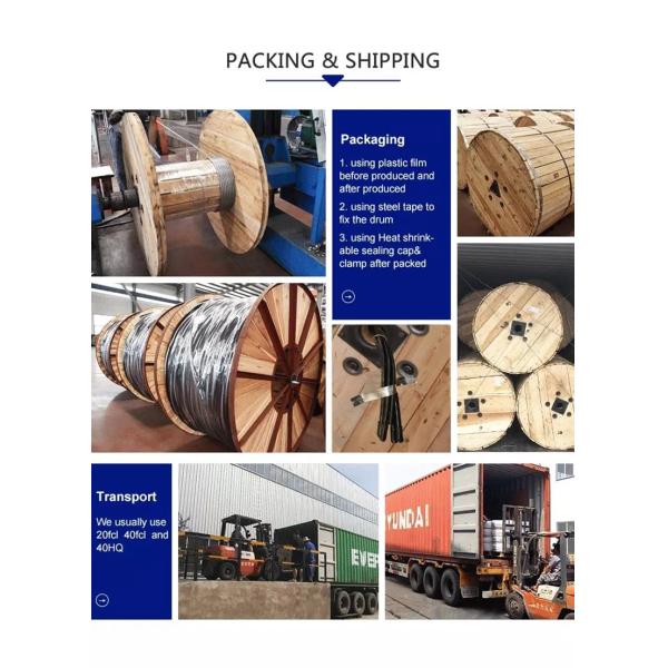 450V 750V Electric Wires With Al Copper Conductor