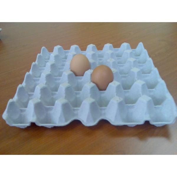 Предварительные методы Egg машина подноса, роторный тип машина прессформы HR-2000~HR-8000 пульпы