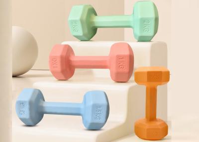 Gym Fitness Equipment Plastic Yoga Small Dumbells Set For Women