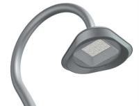 30W-100W Accrochage LED de jardin luminaires d'aluminium 3000K Pour l'éclairage du paysage utilisé dans les jardins,parcs et attractions touristiques